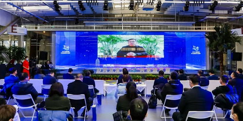 京津冀運河文化旅游城市合作組織 以文化藝術交流為紐帶，共繪協同發展新畫卷